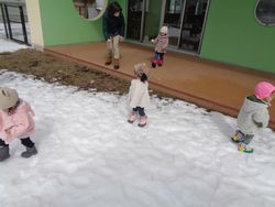 DSC00097.jpg