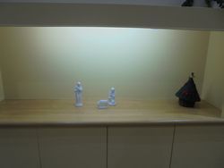 DSC01862.jpg