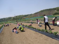 DSC01901.jpg