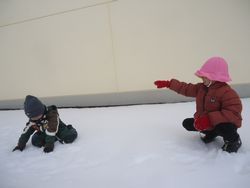 DSC05328.jpg