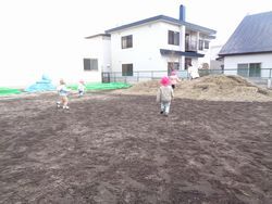 DSC08453.jpg