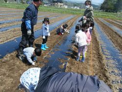 DSCF0234.JPG