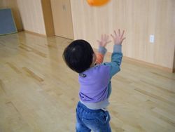 DSCF2511.JPG