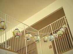 DSCF6517.jpg