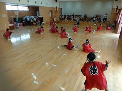 DSC_0704.jpg