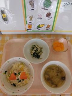 IMG_20250226_121933.jpg