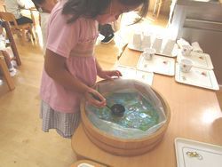 IMG_2648.JPG