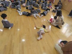 IMG_20250210_105658.jpg