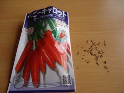 DSC03776.jpg