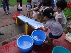 DSC03893.jpg
