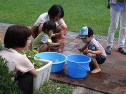 DSC03907.jpg